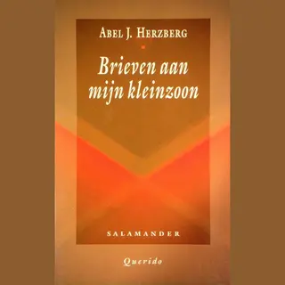 A.J. Herzberg Brieven Aan Mijn Kleinzoon / Salamander / 362