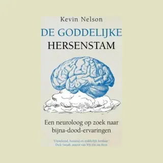 De Goddelijke Hersenstam