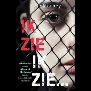 De Fontein 9789026153709 Ik zie, ik zie boek