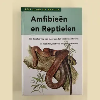 Amfibieën En Reptielen