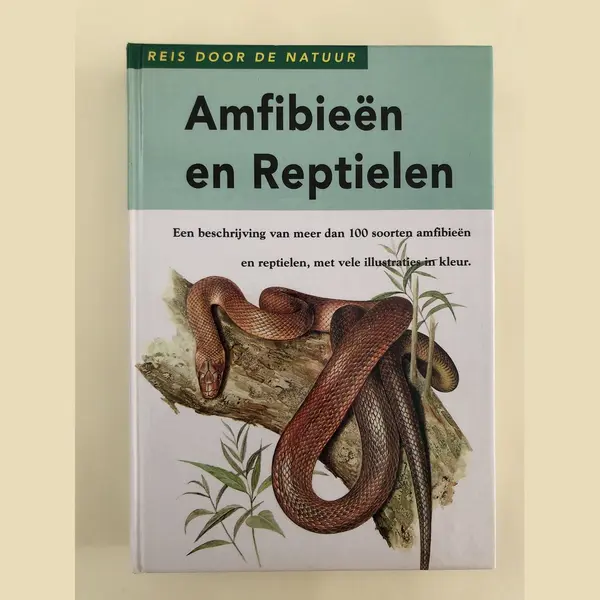 Amfibieën En Reptielen thumbnail
