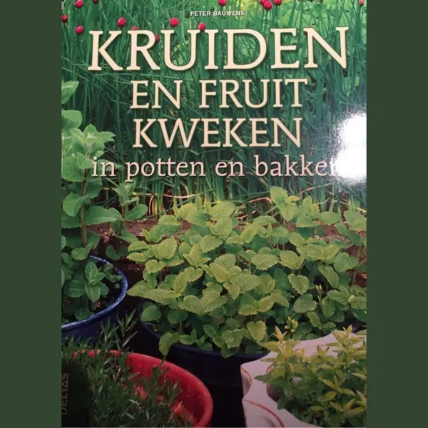 Kruiden En Fruit Kweken In Potten En Bakken thumbnail
