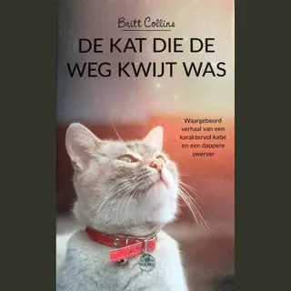 Britt Collins De Kat Die De Weg Kwijt Was