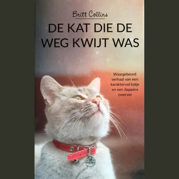 Britt Collins De Kat Die De Weg Kwijt Was thumbnail