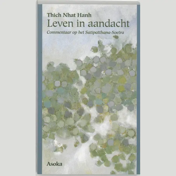 Dharma Pocket - Leven In Aandacht thumbnail