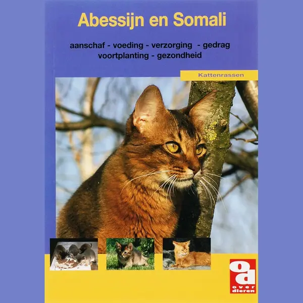 Over Dieren 175 - Abessijn En Somali thumbnail