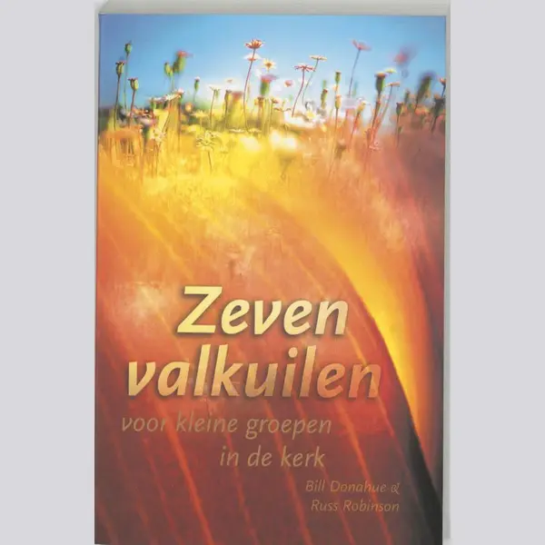 B. Donahue Zeven Valkuilen Voor Kleine Groepen thumbnail