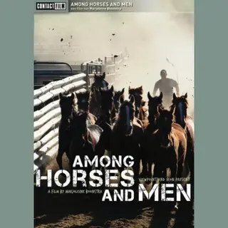 Remain in Light Among Horses And Men (Dvd)