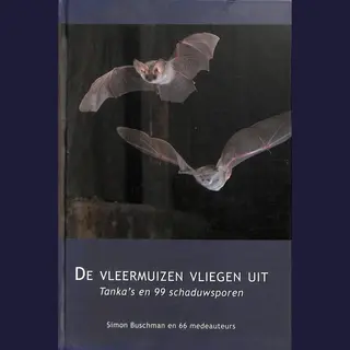 De Vleermuizen Vliegen Uit