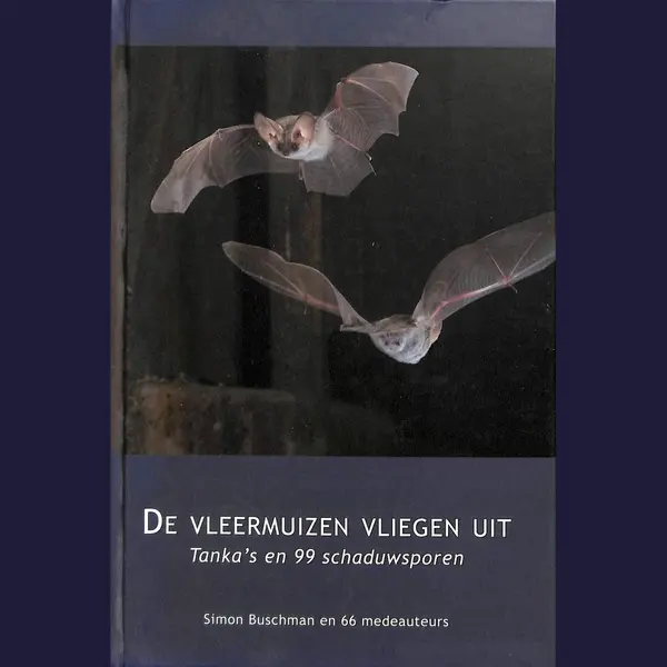 De Vleermuizen Vliegen Uit thumbnail