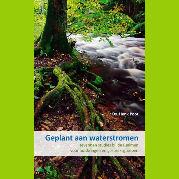 Henk Poot Geplant Aan Waterstromen thumbnail
