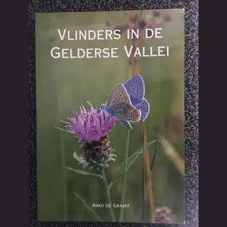 Vlinders In De Gelderse Vallei