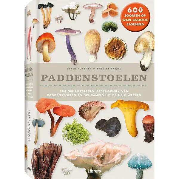 Shelley Evans Paddenstoelen thumbnail