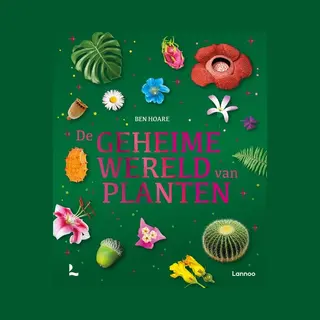 De Geheime Wereld Van Planten