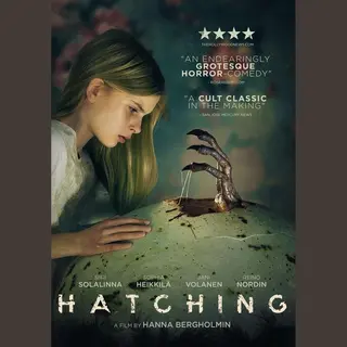 The Searchers Hatching
