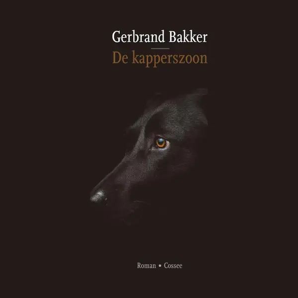 De Kapperszoon thumbnail