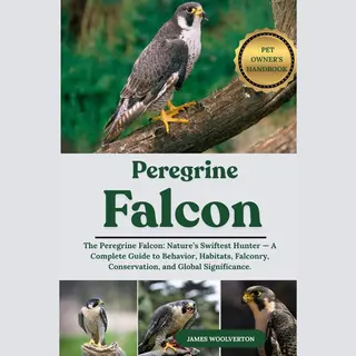 Pelegrine Falcon