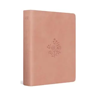 Esv Single Column Journaling Bible