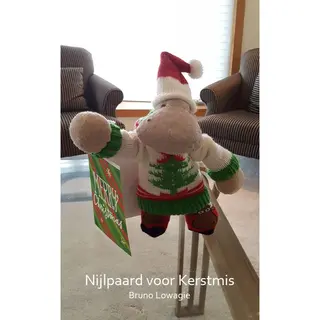 Nijlpaard Voor Kerstmis