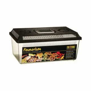 Exo Terra Faunarium, Multifunctionele Container Voor Reptielen, Amfibieën, Muizen En Insecten, Medium Plat, 36 X 22 X 16, 5 Cm
