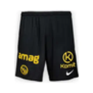 Bsc Young Boys Yb Shorts Home Kinder 25/26