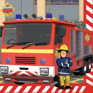 Amscan 9912960 papieren servetten 12 stuk(s)