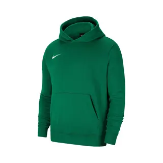 Nike Kid Y Nk Flc Park20 Po Hoodie Sweatshirt, Pine Green/White, M Eu