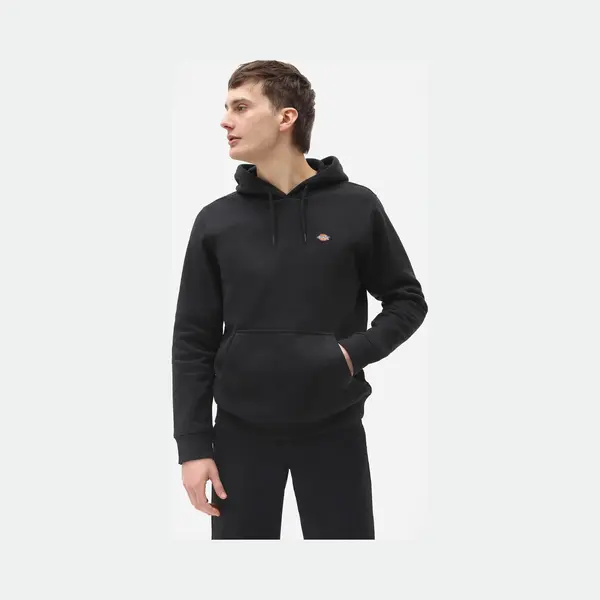 Dickies Sweatshirt DK0A4XCD thumbnail