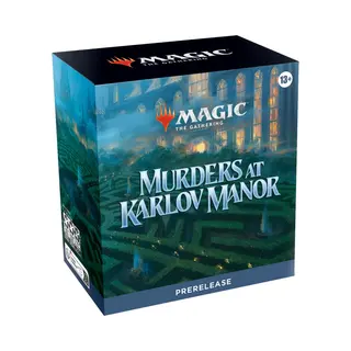Wizards of the Coast D30340000 niet gecategoriseerd