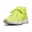 GEEL