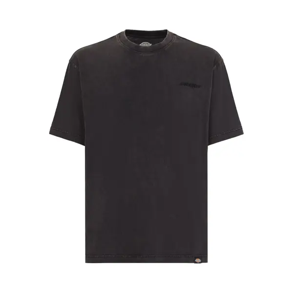 Dickies T-Shirts & Poloshirts Plentywood Ss Tee thumbnail