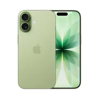 Apple iPhone 17 256 Gb Salbei
