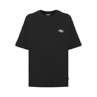 Dickies T-Shirts & Poloshirts Summerdale Tee Ss W