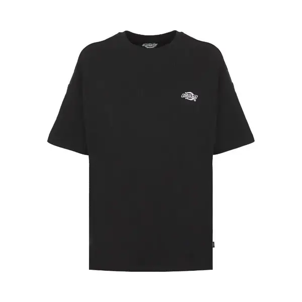 Dickies T-Shirts & Poloshirts Summerdale Tee Ss W thumbnail