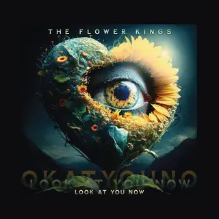 The Flower Kings Look At You Now Cd Multicolor