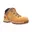 Wheat