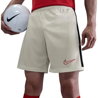 Shorts Nike Dri-fit