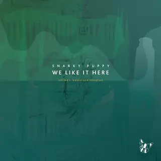 The Orchard We Like It Here (Remixed + Remastered + Reimagined) [Vinyl]