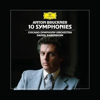 Universal Music Nederland Chicago Symphony Orchestra & Daniel Barenboim - Anton Bruckner, 10 Symphonies (10 Cd)