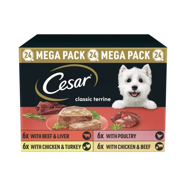 Megapack Cesar Schale 24 X 150 G - Classic Terrine thumbnail