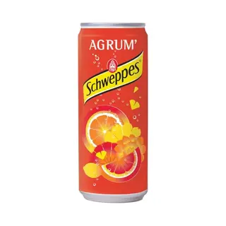 Schweppes | Citrus | IJzer | 24 X 33 Cl