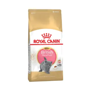 Royal Canin Kitten Food - British Shorthair Complete Food 10Kg