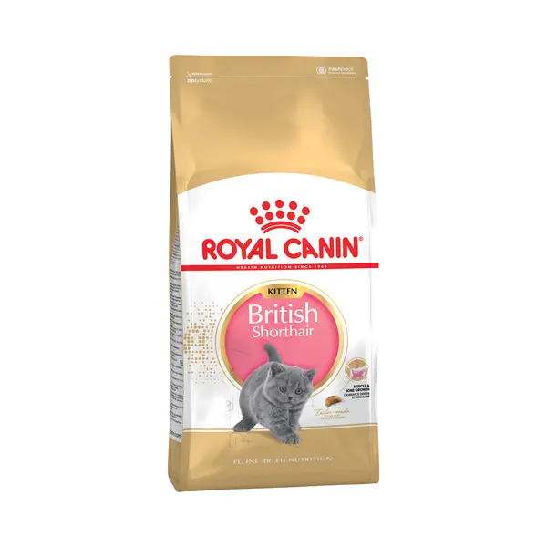 Royal Canin Kitten Food - British Shorthair Complete Food 10Kg thumbnail