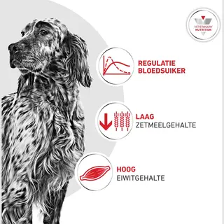 Royal Canin Glycobalance Hond - 12 Kg