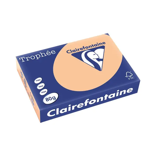 5 X Clairefontaine Kopierpapier 1995PC A4 80g Aprikose 500 Blatt thumbnail