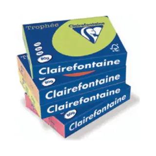 Clairefontaine Trophée A3 Druckerpapier A3 (297x420 mm) Grau