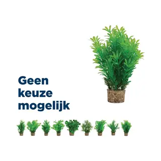 Zolux Kunstplanten Op Grind - Aquarium - Kunstplant - Groen Per Stuk Medium