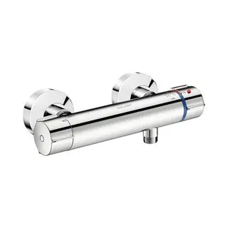 Delabie Securitherm Biosafe Thermostatische Douchemengkraan S-kop