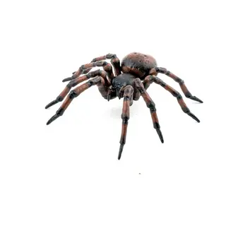 Papo Common spider
