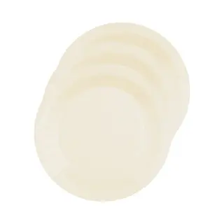 Santex Bordjes Karton - 10x - Rond - Creme Wit - 22 Cm - Feestbordjes